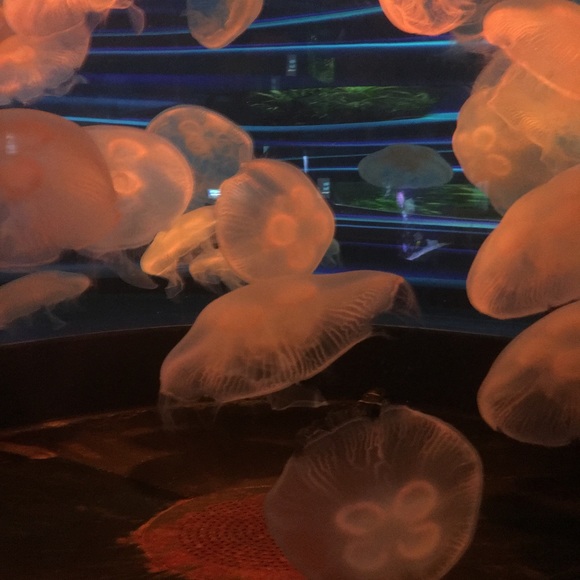 MEET YOUR SELLER/BUYER! - Picture 6 of 6